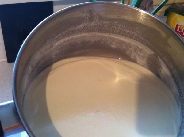 Photo 2012-11-18 11 49 54 AM