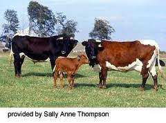 Photo 2013-01-06 12 28 55 PM