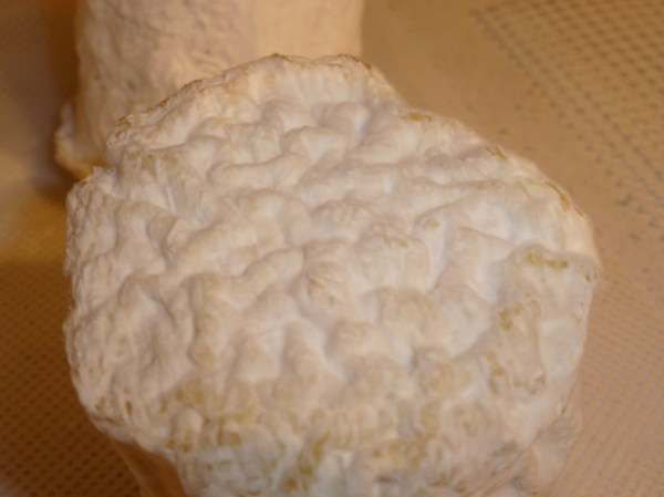 Photo 2013-01-13 11 06 54 PM