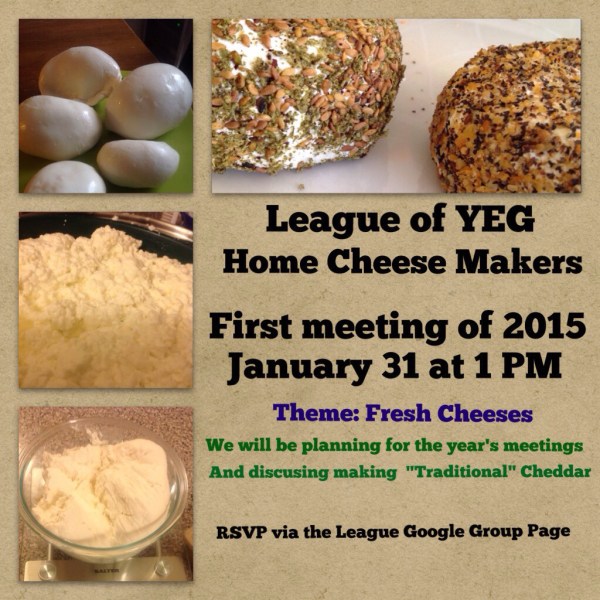 Processed with Rookie