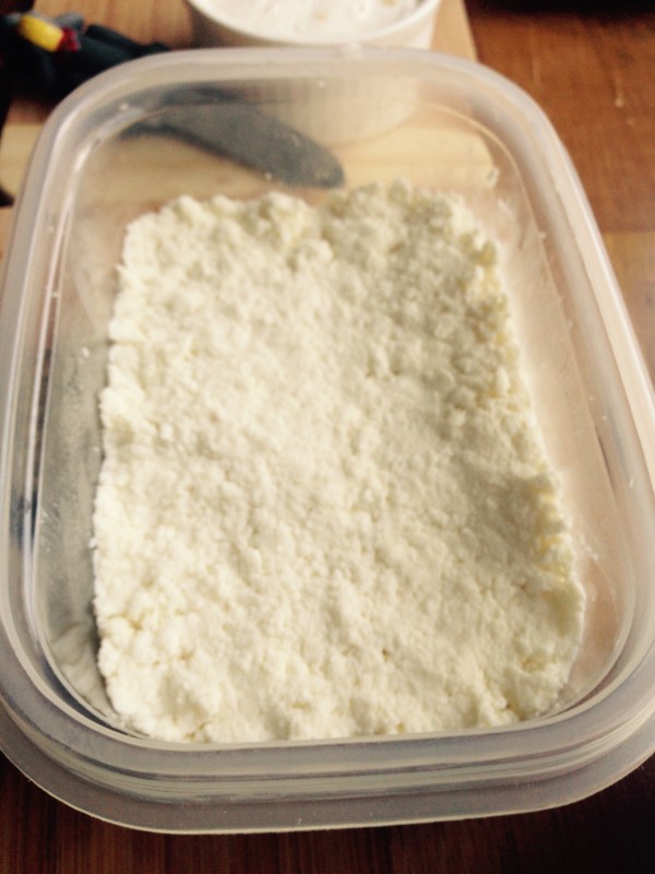 FullSizeRender_2 (3)