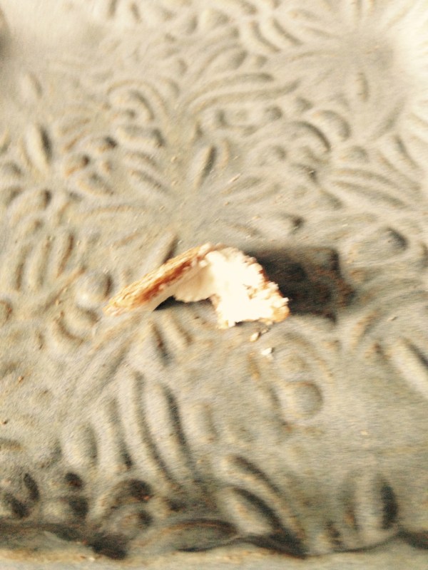 FullSizeRender_3 (2)